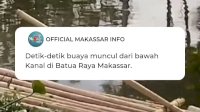 VIDEO: Heboh! Kemunculan seekor Buaya di Kanal Batua Raya Makassar