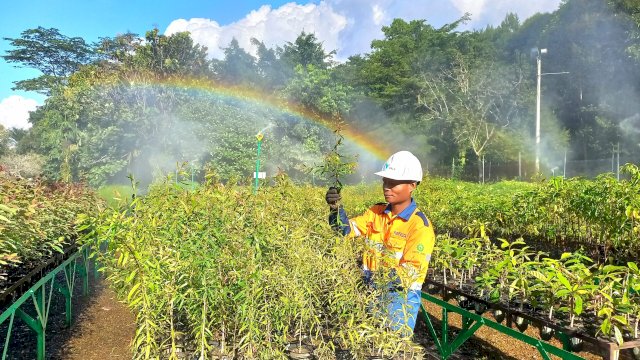 Petugas saat melihat bibit pohon yang ada di nursery Taman Kehati. Foto: Sri Wahyu Diastuti/Sulselsatu.com