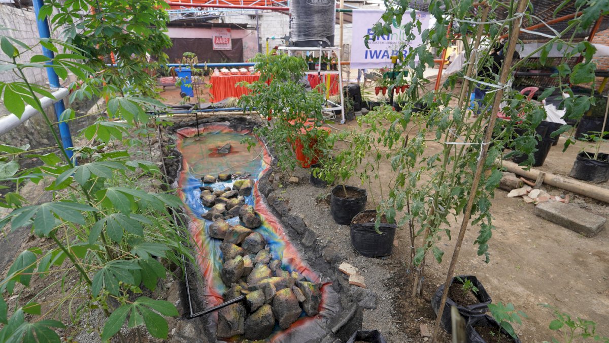 Warga Tuminting dan BRI Ubah Lahan Timbunan Sampah Jadi Lahan Urban Farming ‘BRInita’
