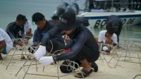 Geliat Kelompok Maratua Lestarikan Terumbu Karang Bersama BRI Peduli