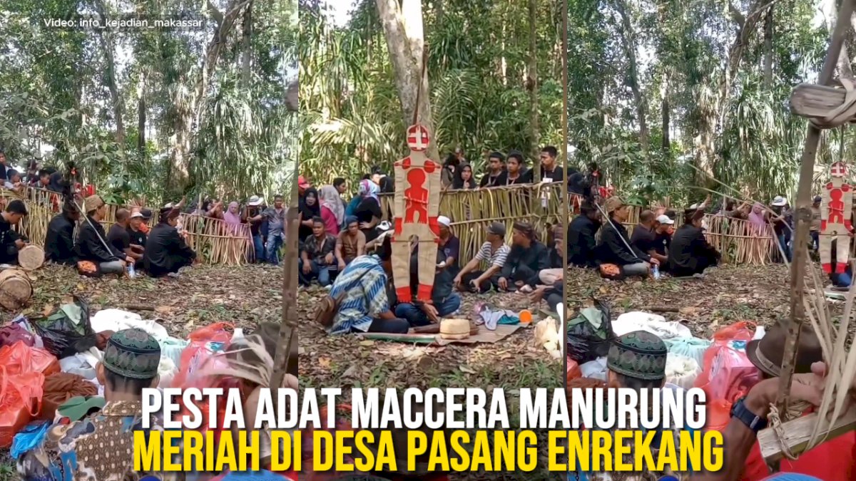 VIDEO: Pesta Adat Maccera Manurung Meriah di Desa Pasang Enrekang