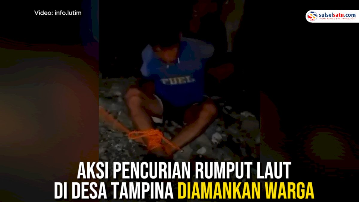 VIDEO: Pelaku Pencurian Rumput Laut di Desa Tampina Berhasil Diamankan Warga