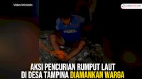 VIDEO: Pelaku Pencurian Rumput Laut di Desa Tampina Berhasil Diamankan Warga