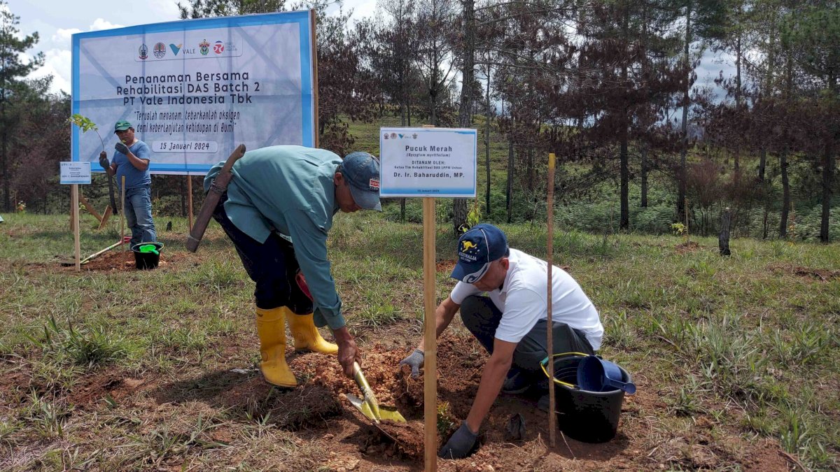 PT Vale Rehabilitasi DAS di Tana Toraja dengan Tanam 424 Ribu Bibit Pohon