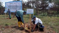 PT Vale Rehabilitasi DAS di Tana Toraja dengan Tanam 424 Ribu Bibit Pohon