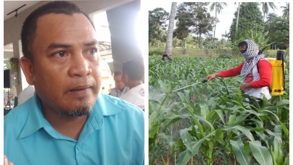 Aturan Dari Pusat Penyebab Petani Susah Dapatkan Pupuk Subsidi di Jeneponto
