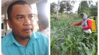 Aturan Dari Pusat Penyebab Petani Susah Dapatkan Pupuk Subsidi di Jeneponto