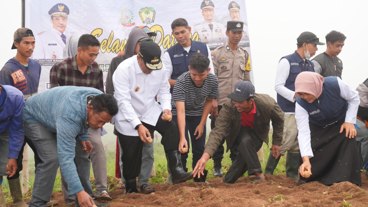 Pj Gubernur Sulsel Bahtiar Ikut Tanam Kentang Bersama Petani Tinggimoncong