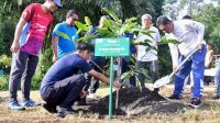 Terima Saran Pj Gubernur Sulsel, PT Vale Akan Tanam Sukun untuk Rehabilitasi Lahan Tambang