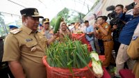 Pedagang Pasar Sungguminasa Ungkap Harga Cabai Rawit Sudah Turun