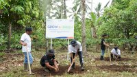 Menanam Tanaman Produktif di Lahan Kritis, BRI Grow and Green Berdayakan Dua Kelompok Tani di Bali