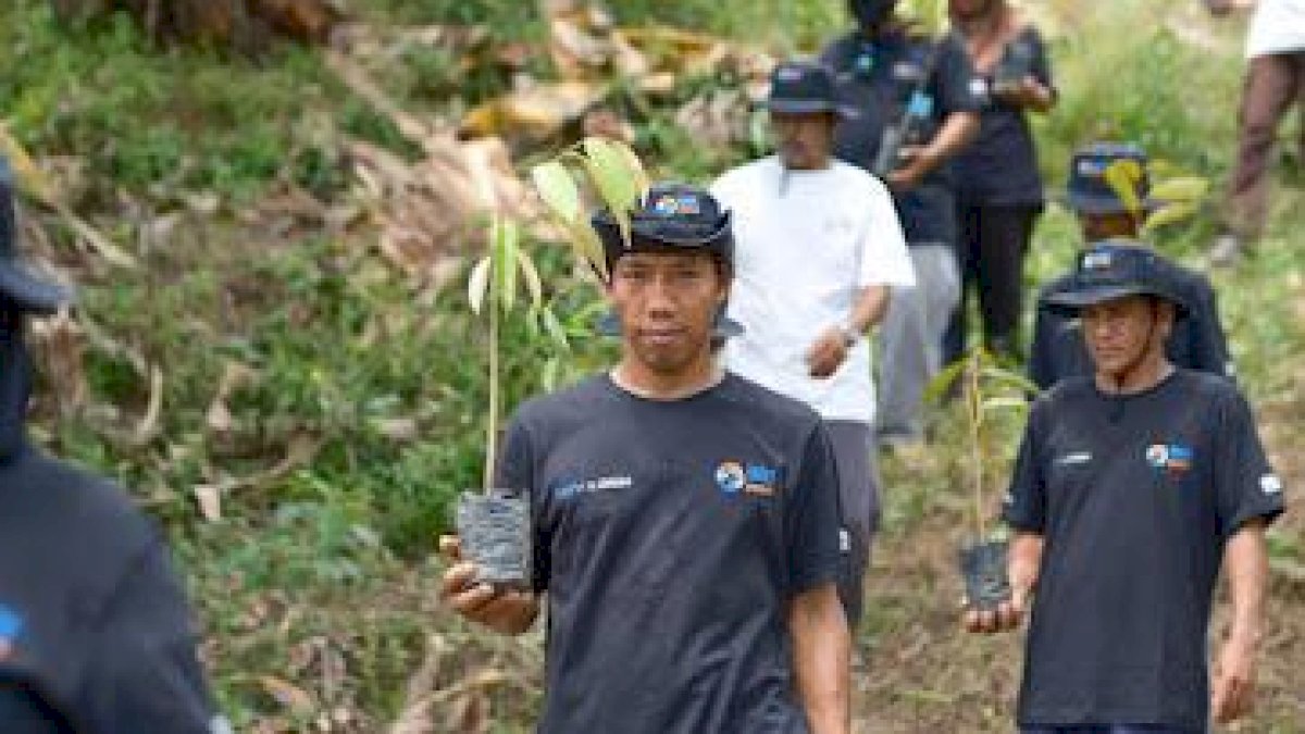 Bangkitkan Harapan Petani di Lahan Kritis, BRI Menanam Grow and Green Salurkan Bantuan Tanaman Produktif