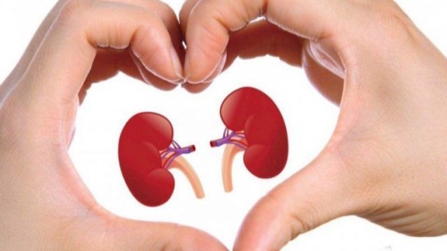 7 minuman yang dapat membersihkan ginjal agar tetap sehat. Foto: Internet