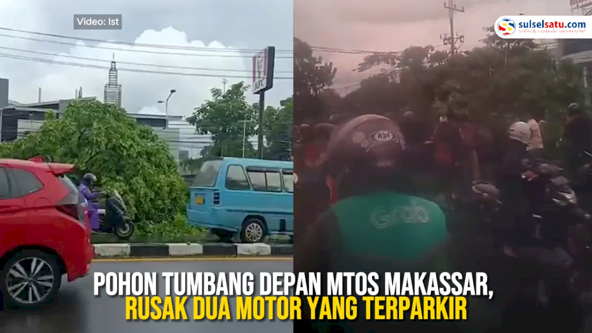 VIDEO: Pohon Tumbang Depan MTos Makassar, Rusa Dua Motor yang Terpakir