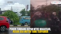 VIDEO: Pohon Tumbang Depan MTos Makassar, Rusa Dua Motor yang Terpakir