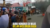 VIDEO: Guru Honorer di Wajo Gelar Aksi Unjuk Rasa