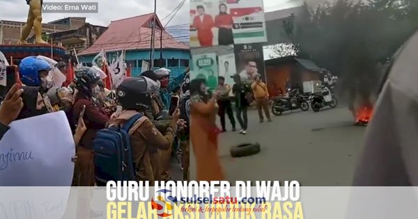 Video Guru Honorer Di Wajo Gelar Aksi Unjuk Rasa