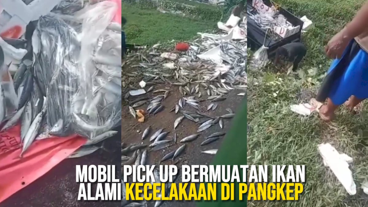 VIDEO: Mobil Pick Up Bermuatan Ikan Alami Kecelakaan di Pangkep