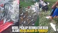 VIDEO: Mobil Pick Up Bermuatan Ikan Alami Kecelakaan di Pangkep