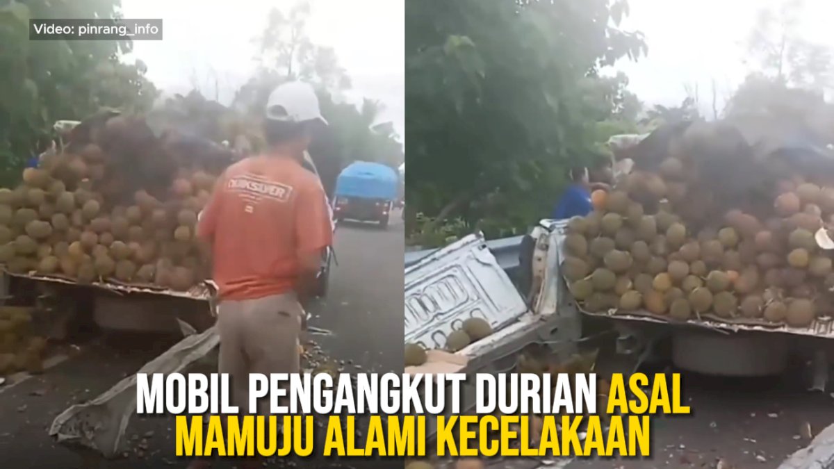 VIDEO: Mobil Pengangkut Durian Asal Mamuju Alami Kecelakaan di Pinrang
