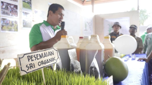 Padi SRI Organik salah satu bentuk komitmen keberlanjutan PT Vale terhadap lingkungan. Foto: Istimewa