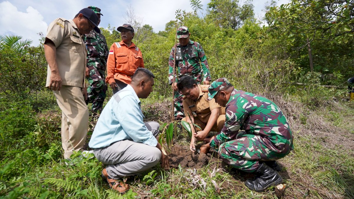 PT Vale Sinergi Pemda Lutim Tanam Pohon di Areal Persetujuan Penggunaan Kawasan Hutan