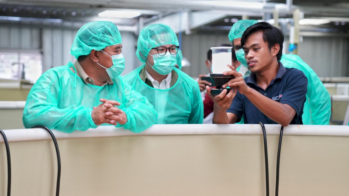 Pemprov Sulsel-PT Bomar Kembangkan Benur Udang untuk Warga Pesisir
