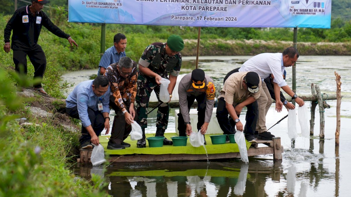 Tiba di Parepare, Pj Gubernur Sulsel Tebar Benih Udang Vaname dan Tanam Pisang Cavendish