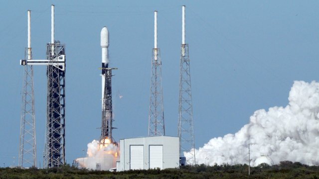 Roket Falcon 9 yang meluncur dari Cape Canaveral Florida sebagai wahana yang mengantarkan Satelit Merah Putih 2 menuju orbit, Selasa (20/2) waktu setempat. Foto: Istimewa