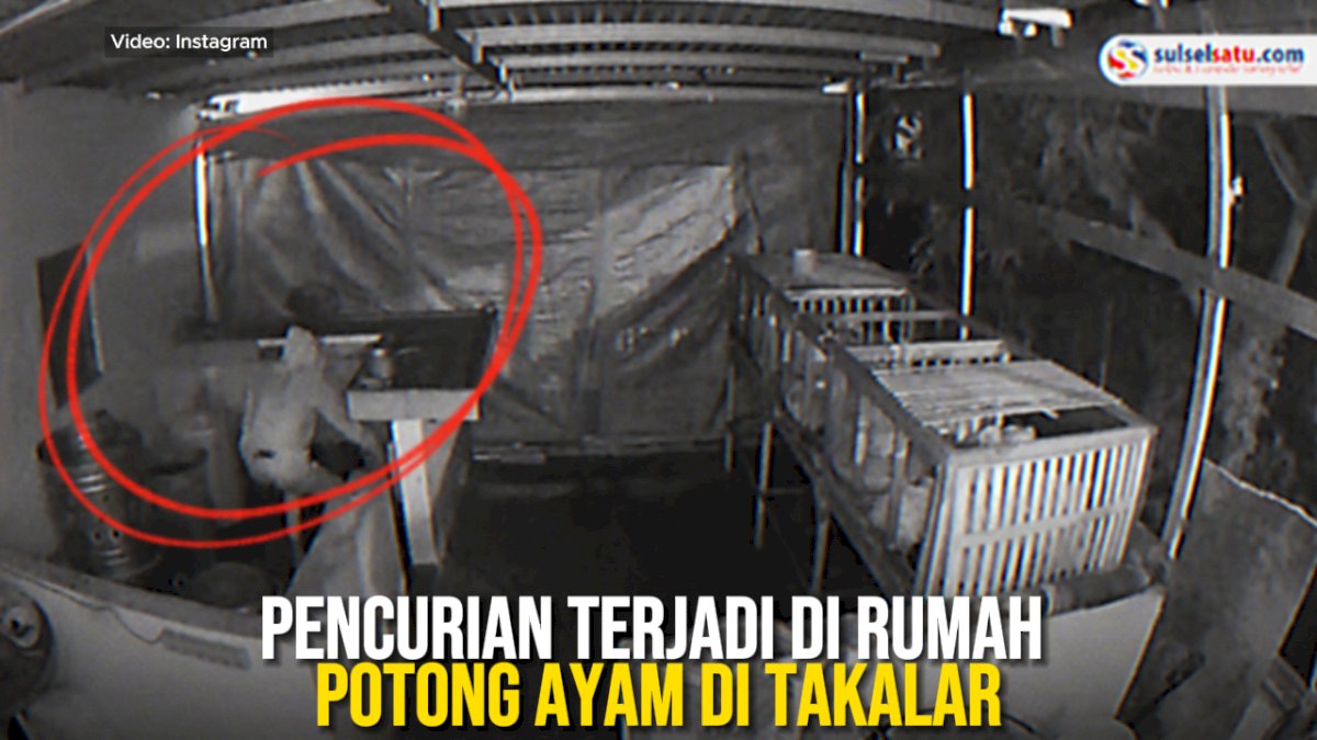 VIDEO: Pencurian terjadi di Rumah Potong Ayam di Takalar, Aksinya Terekam CCTV