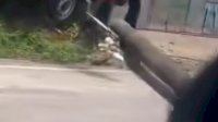 VIDEO: Mobil Minibus Tabrak Tiang Listrik di Makassar
