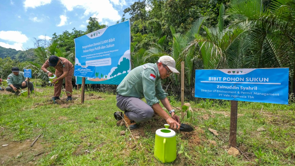PT Vale Donasi 5.000 Bibit Pohon Perkuat Ekonomi Sirkuler di Rammang-rammang