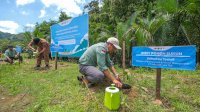 PT Vale Donasi 5.000 Bibit Pohon Perkuat Ekonomi Sirkuler di Rammang-rammang