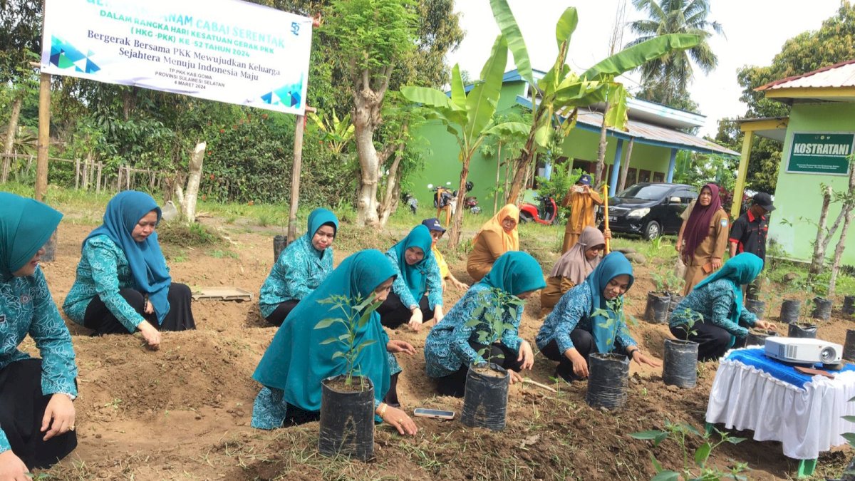 TP PKK Gowa Tanam 150 Bibit Cabai Demi Tekan Laju Inflasi