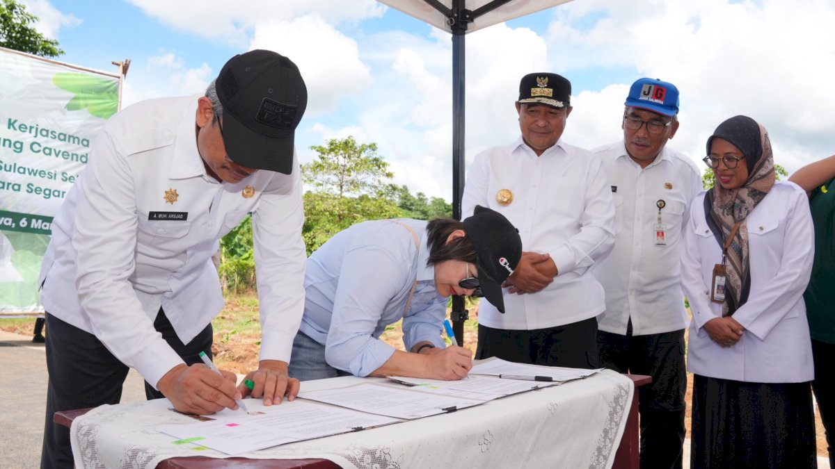 Pemprov Sulsel-GGF Teken MoU Budidaya Pisang Cavendish di Gowa