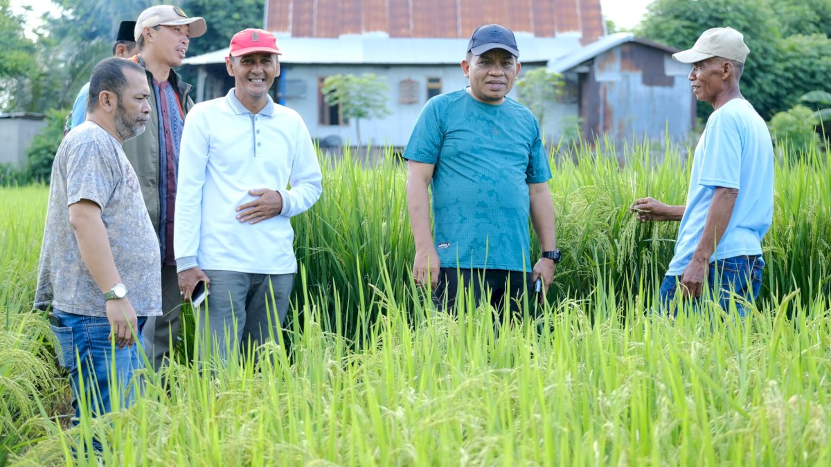 PJ Bupati Jeneponto Ajak Petani  Buat Benih Padi Sendiri