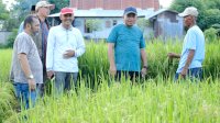PJ Bupati Jeneponto Ajak Petani Buat Benih Padi Sendiri