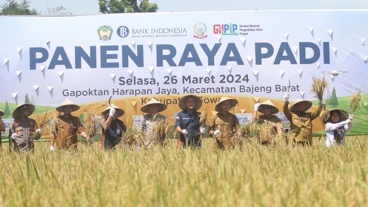 Bank Indonesia Panen Raya Padi Seluas 226,42 Ha di Kabupaten Gowa