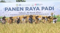 Bank Indonesia Panen Raya Padi Seluas 226,42 Ha di Kabupaten Gowa
