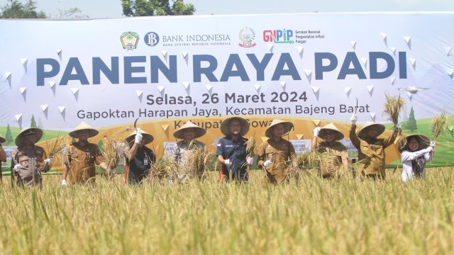 Bank Indonesia panen raya padi di Kabupaten Gowa bersama Pemerintah Provinsi Sulsel dan Kabupaten Gowa. Foto: Istimewa