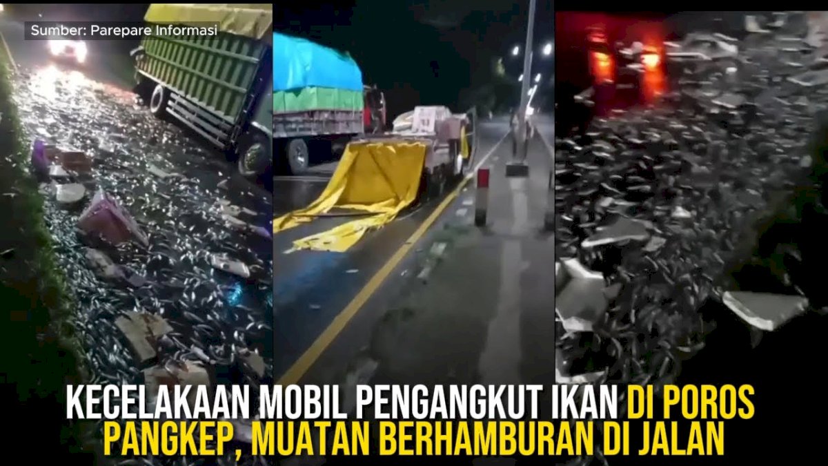 VIDEO: Kecelakaan Mobil Pengangkut Ikan di Poros Pangkep, Muatan Berhamburan di Jalan