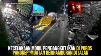 VIDEO: Kecelakaan Mobil Pengangkut Ikan di Poros Pangkep, Muatan Berhamburan di Jalan