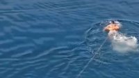 VIDEO: Detik-detik Anggota TNI Selamatkan Korban Tenggelam di Laut Lepas