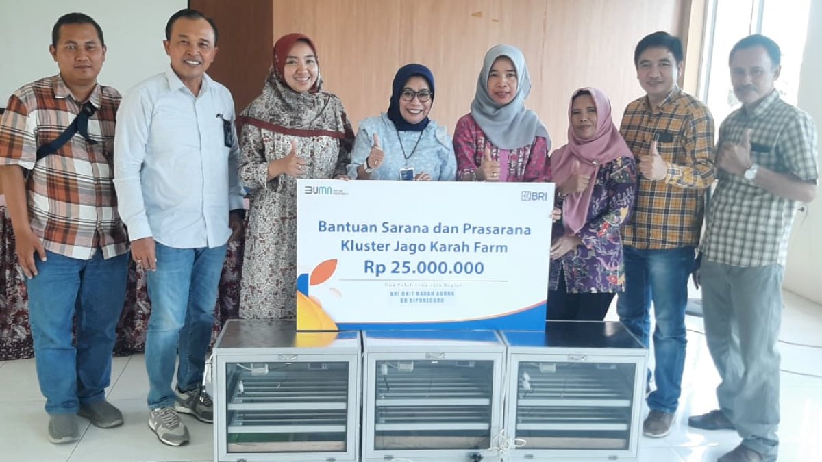 Program Pemberdayaan BRI Bikin Peternakan Ayam di Surabaya Ini Berkembang dan Bisa Bantu Banyak Orang