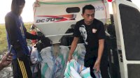 Syaharuddin Alrif Hadiri Panen Raya Bersama Petani di Desa Tacimpo Sidrap