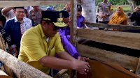 Inovasi Peternakan di Cina Bone, Inseminasi Buatan Dikuatkan dengan Ketersediaan Pakan