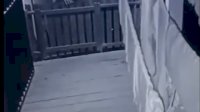 VIDEO: Terekam CCTV, Aksi Pencurian Pakaian Dalam Wanita di Kabupaten Bone