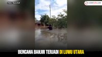VIDEO: Bencana Banjir terjadi di Luwu Utara