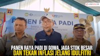 VIDEO: Panen Raya Padi di Gowa, Jaga Stok Besar dan Tekan Inflasi Jelang Idulfitri