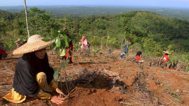 Telkom tanam pohon dukung pemulihan lahan kritis. Foto: Istimewa.